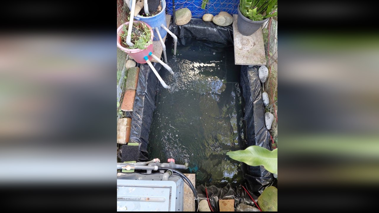 DIY魚池過濾